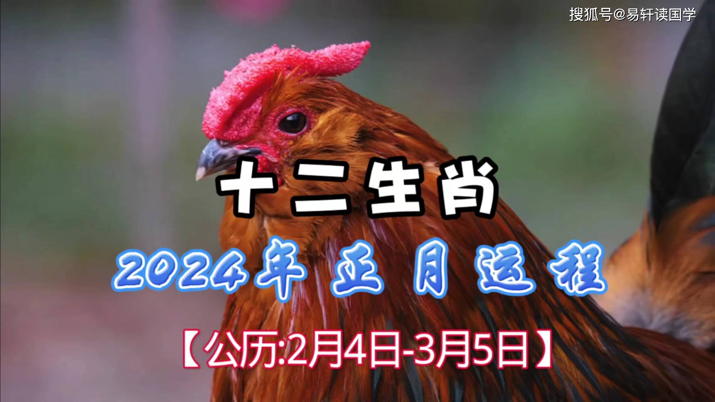 2024年新澳开奖结果鸡生肖,豪华精英版79.26.45-江GO121,127.13